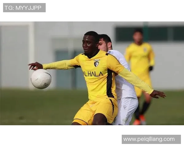 波尔蒂茫主场迎战布拉加期待精彩对决双方争夺胜利的激烈较量