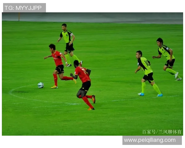 全面解析体育与健康知识点助力提升生活质量与身体素养